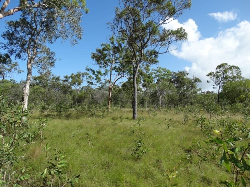 193 Maude Hill Road, Deepwater QLD 4674
