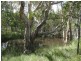 193 Maude Hill Road, Deepwater QLD 4674