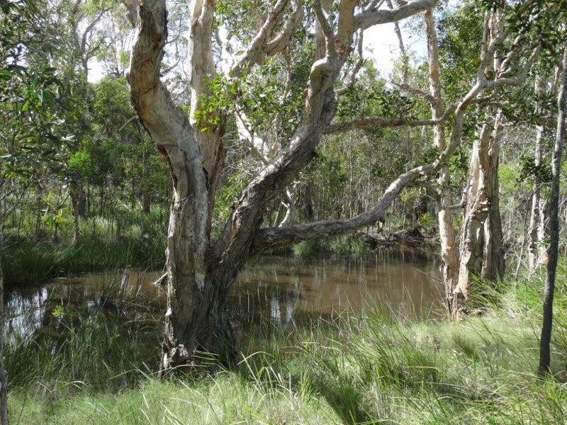 193 Maude Hill Road, Deepwater QLD 4674
