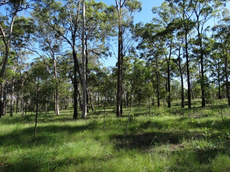 Lot 23 Avondale Road, Avondale QLD 4670