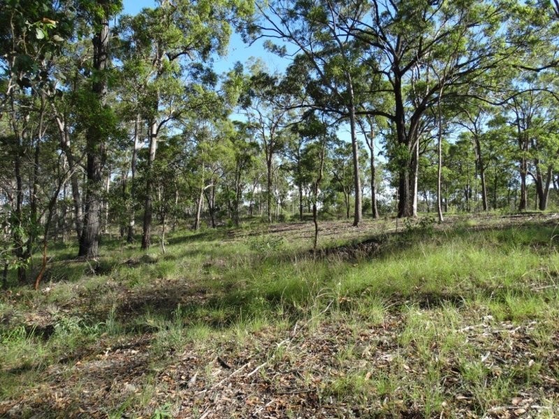 Lot 23 Avondale Road, Avondale QLD 4670