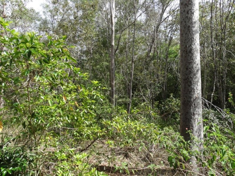 Lot 25 Mineral Road, Rosedale QLD 4674