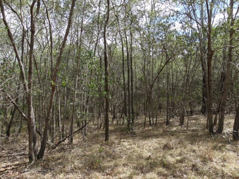 Lot 25 Mineral Road, Rosedale QLD 4674