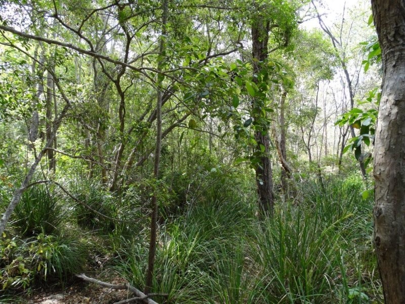 Lot 25 Mineral Road, Rosedale QLD 4674