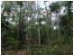 Lot 25 Mineral Road, Rosedale QLD 4674