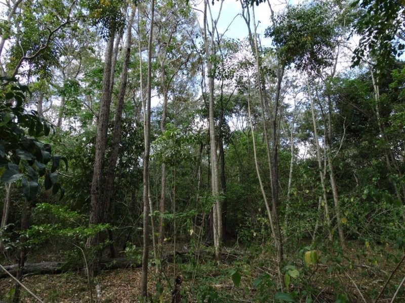 Lot 25 Mineral Road, Rosedale QLD 4674
