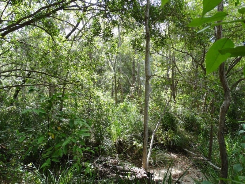 Lot 25 Mineral Road, Rosedale QLD 4674