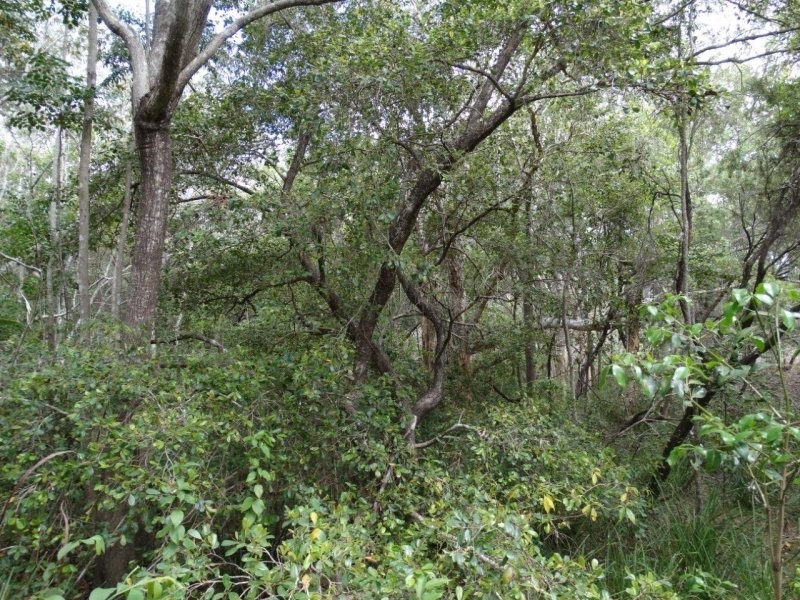 Lot 25 Mineral Road, Rosedale QLD 4674