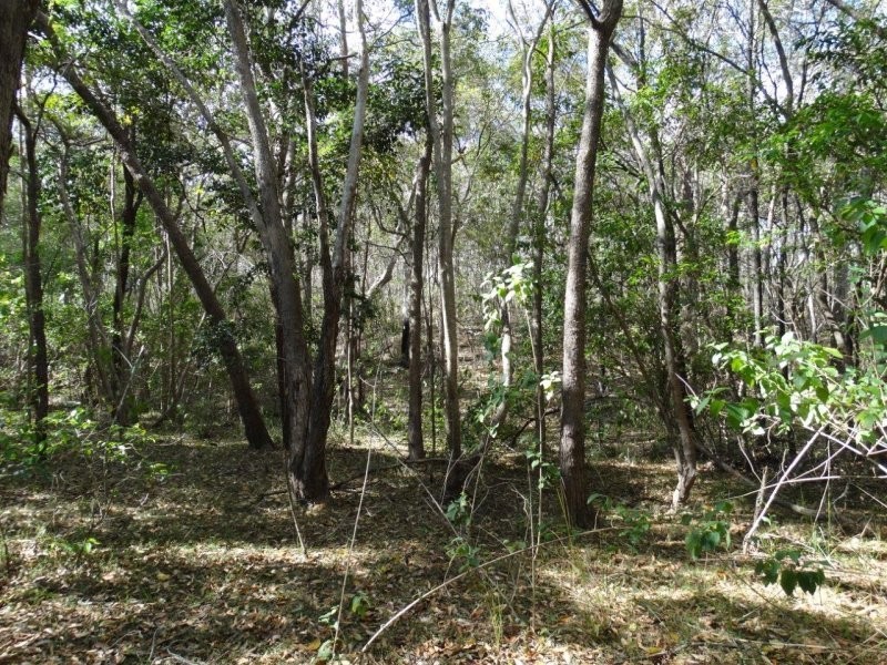 Lot 25 Mineral Road, Rosedale QLD 4674