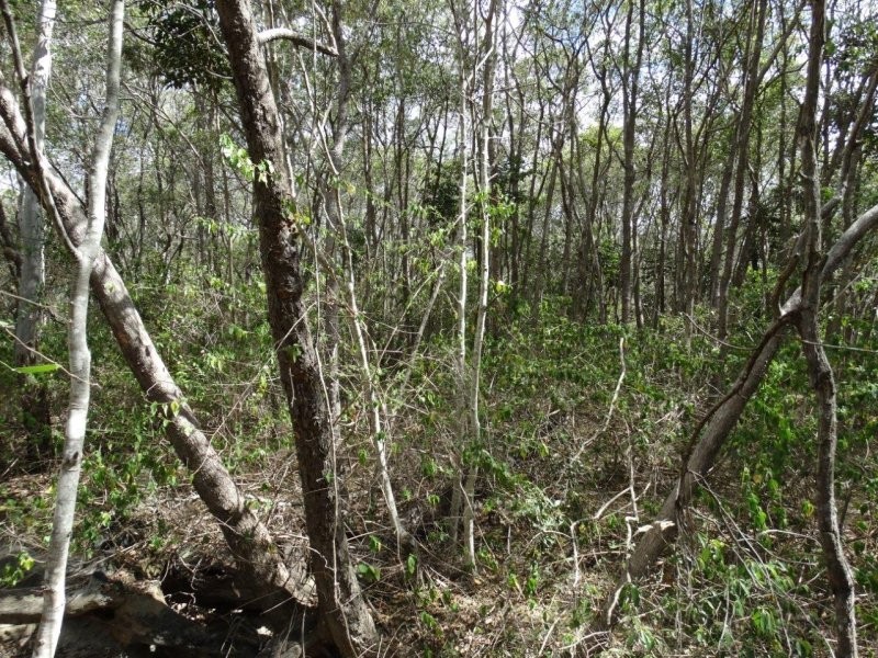 Lot 25 Mineral Road, Rosedale QLD 4674