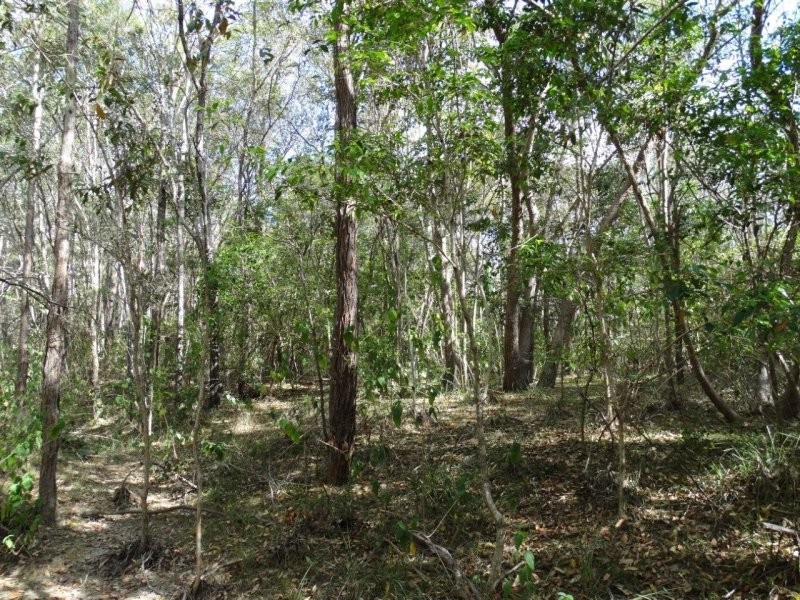 Lot 25 Mineral Road, Rosedale QLD 4674