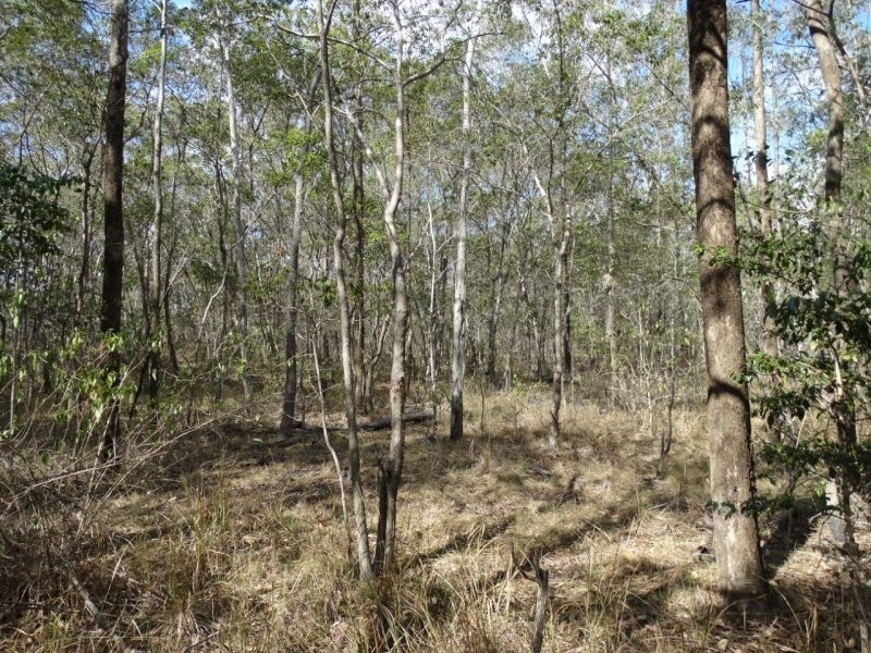 Lot 25 Mineral Road, Rosedale QLD 4674