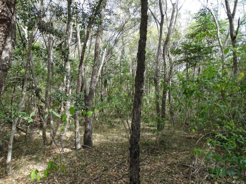 Lot 25 Mineral Road, Rosedale QLD 4674
