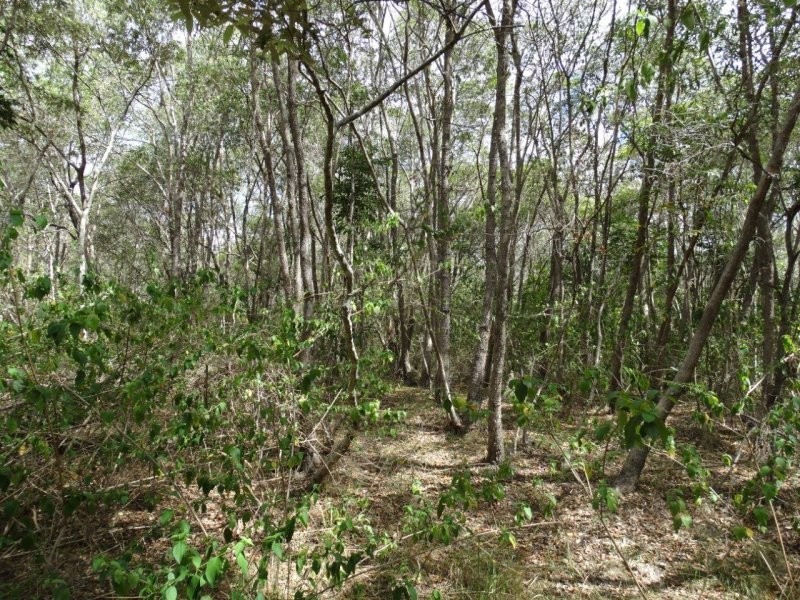 Lot 25 Mineral Road, Rosedale QLD 4674