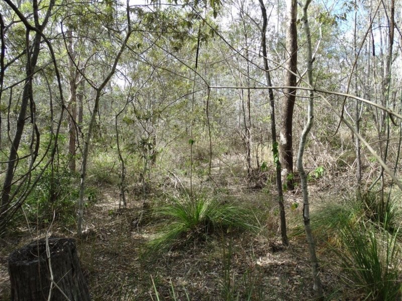 Lot 25 Mineral Road, Rosedale QLD 4674