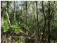 Lot 25 Mineral Road, Rosedale QLD 4674