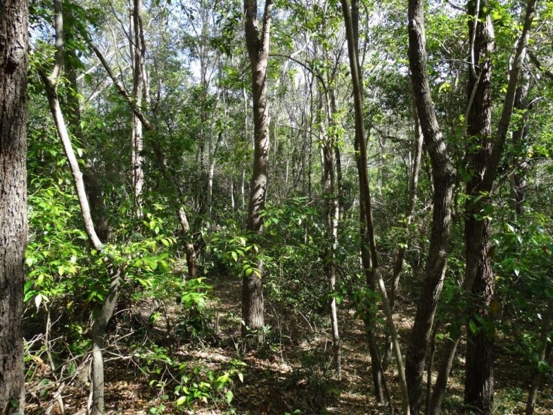 Lot 25 Mineral Road, Rosedale QLD 4674
