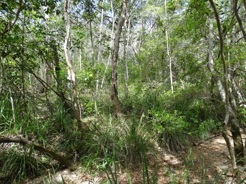 Lot 25 Mineral Road, Rosedale QLD 4674
