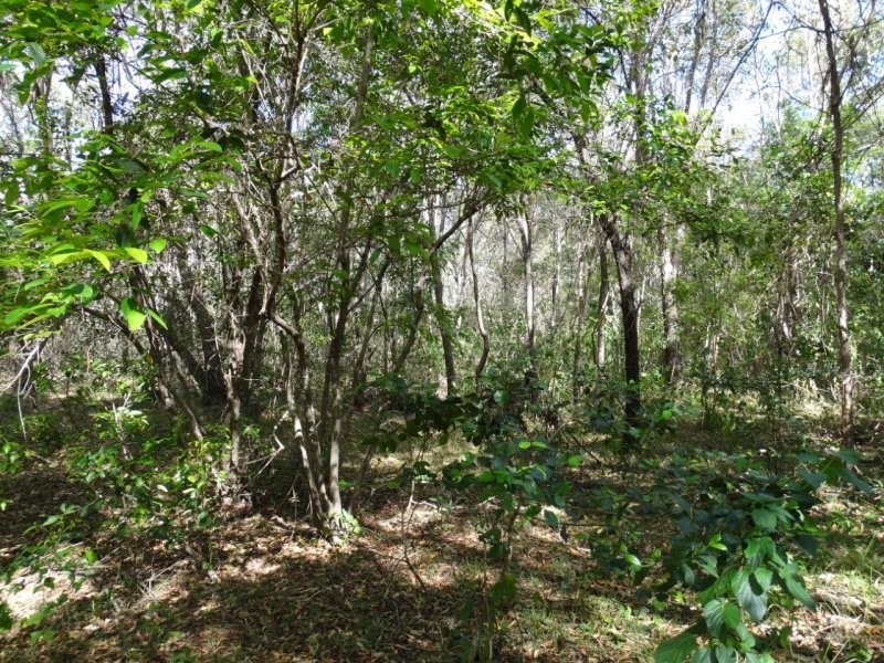 Lot 25 Mineral Road, Rosedale QLD 4674