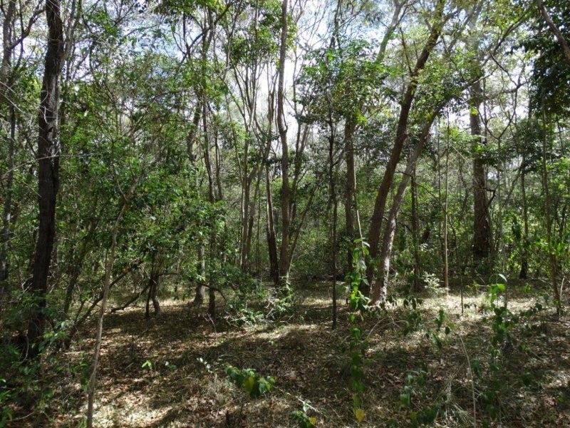 Lot 25 Mineral Road, Rosedale QLD 4674
