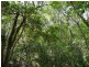 Lot 25 Mineral Road, Rosedale QLD 4674