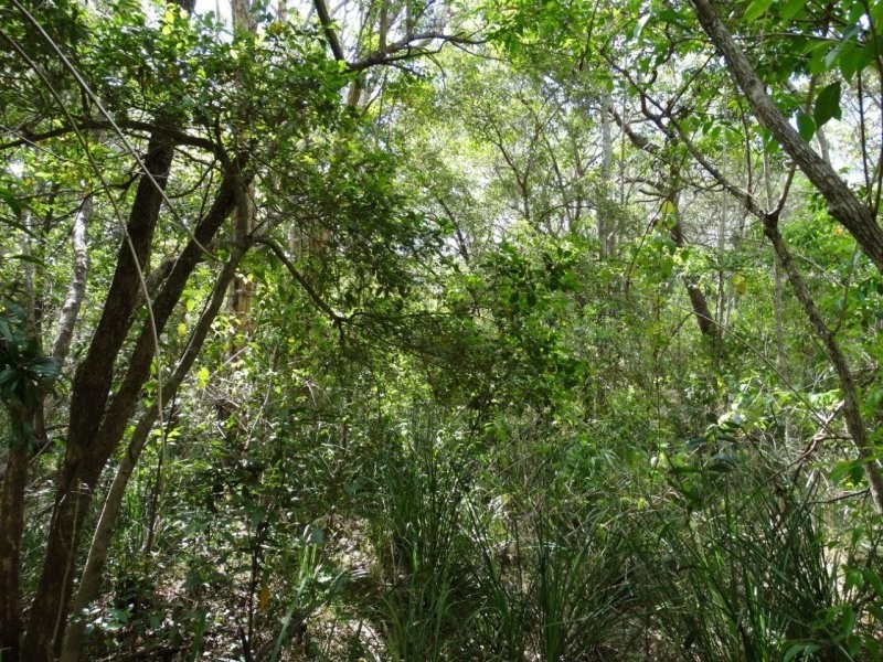 Lot 25 Mineral Road, Rosedale QLD 4674