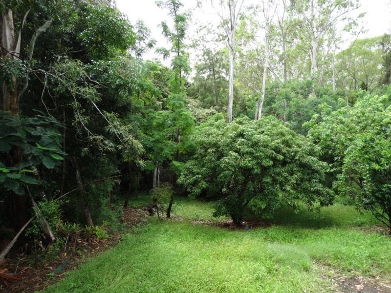 407 Oyster Creek Road, Oyster Creek QLD 4674