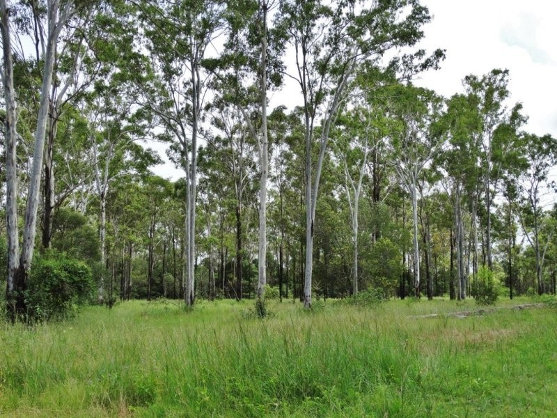 407 Oyster Creek Road, Oyster Creek QLD 4674