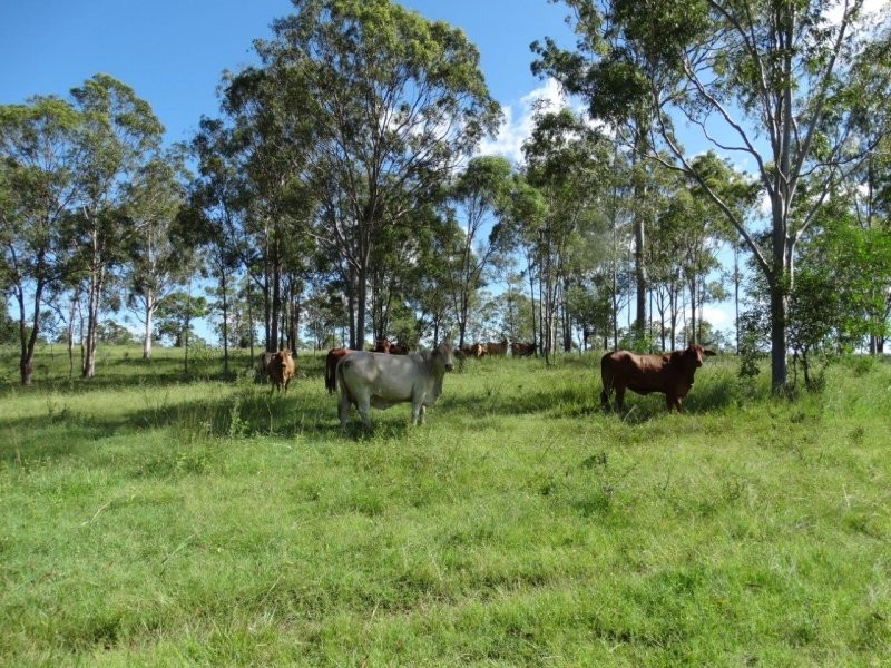 Lot 13 Tableland Road, Mount Maria QLD 4674