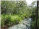 842 Gorge Road, Taunton QLD 4674