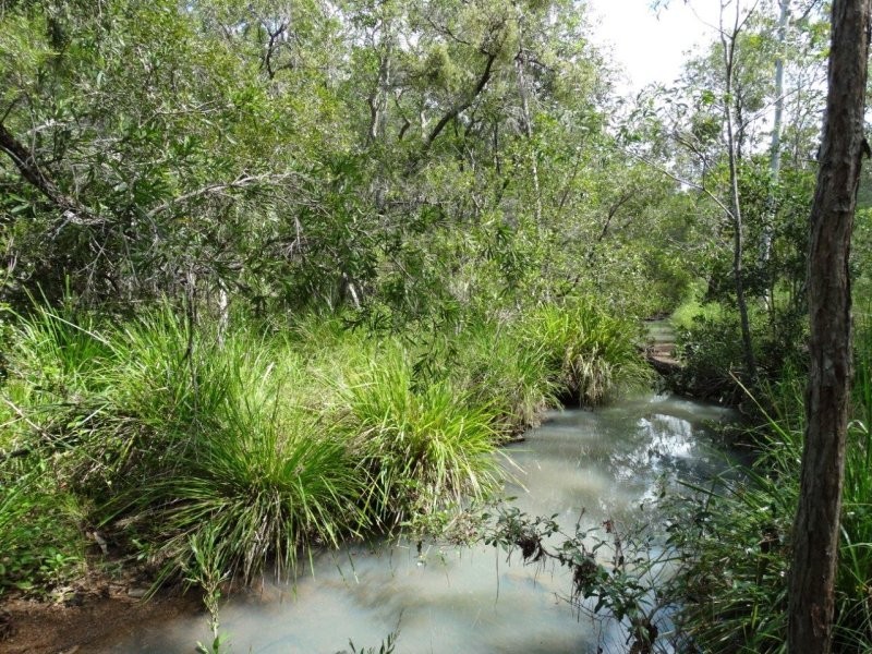 842 Gorge Road, Taunton QLD 4674