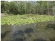 842 Gorge Road, Taunton QLD 4674