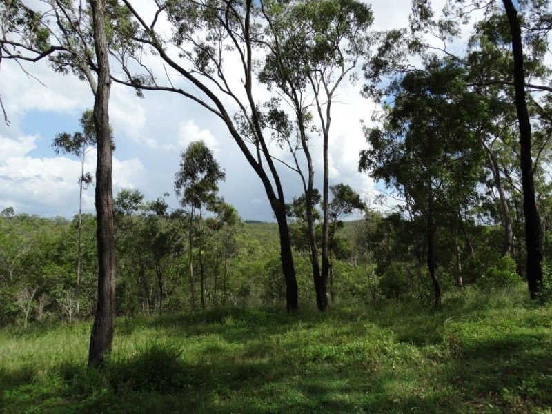 842 Gorge Road, Taunton QLD 4674