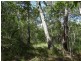 842 Gorge Road, Taunton QLD 4674
