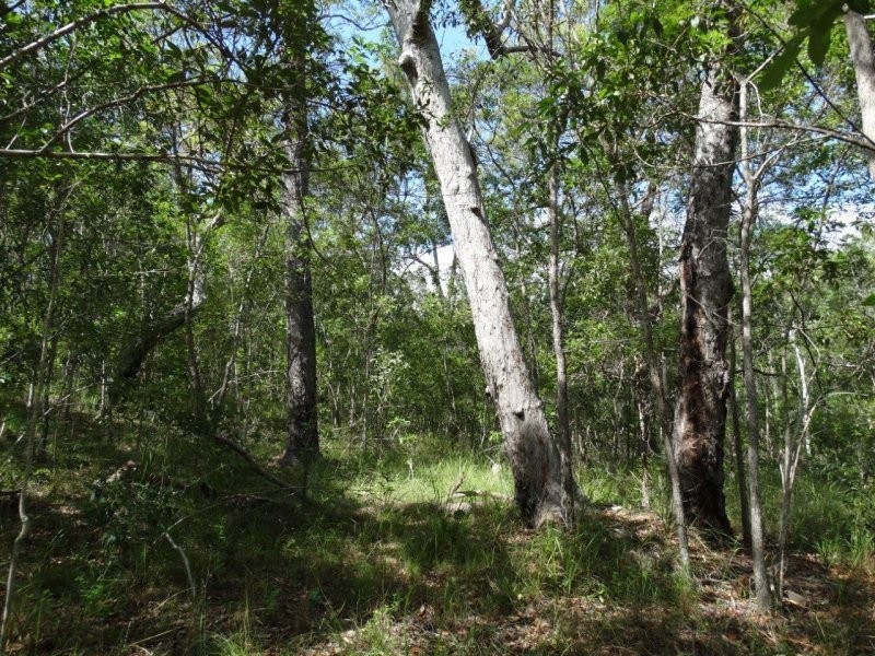 842 Gorge Road, Taunton QLD 4674