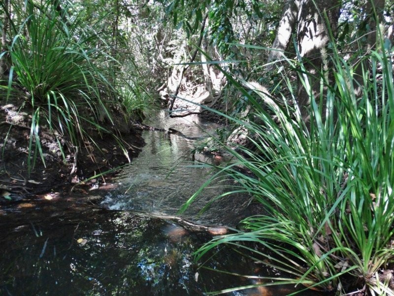966 Taunton Road, Taunton QLD 4674