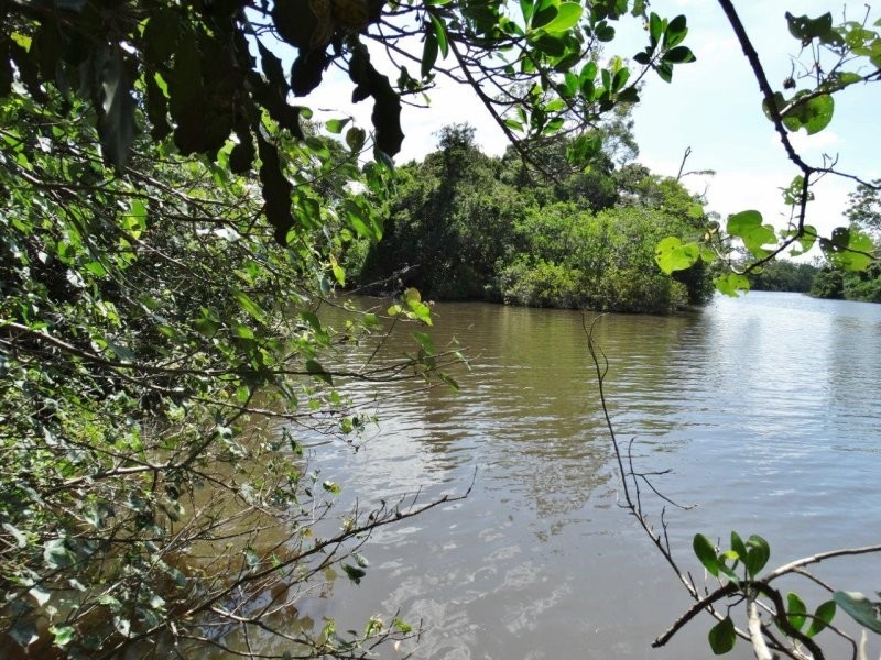 966 Taunton Road, Taunton QLD 4674