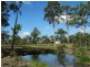 293 Mineral Road, Rosedale QLD 4674
