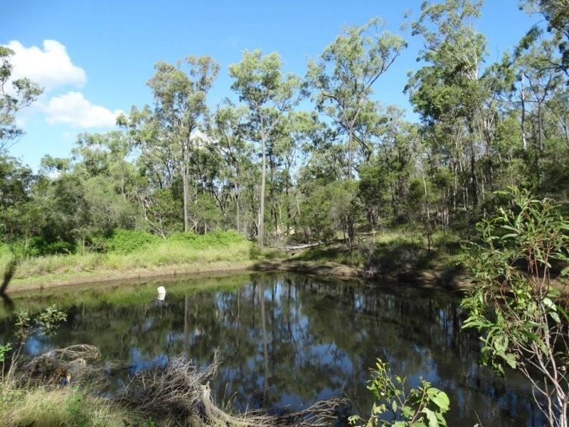 293 Mineral Road, Rosedale QLD 4674