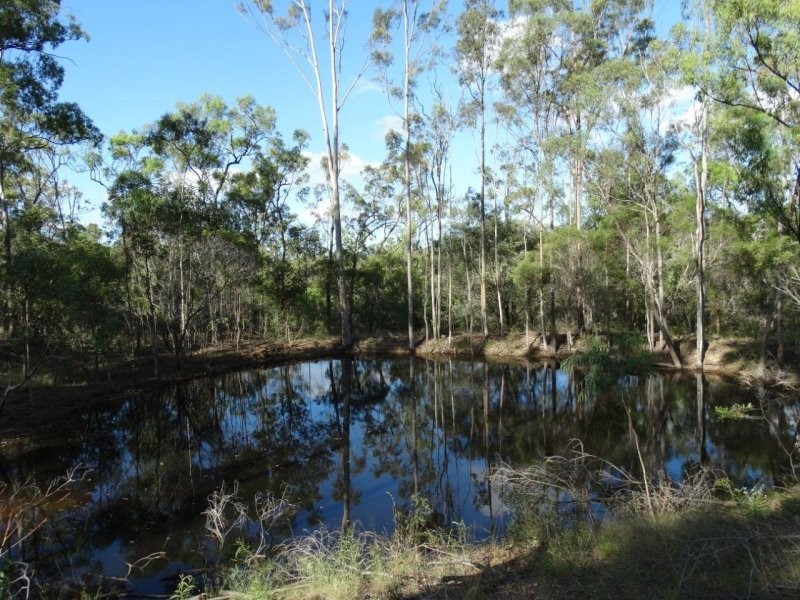293 Mineral Road, Rosedale QLD 4674
