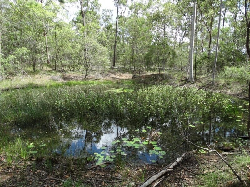 Lot 3 Neils Road, Rosedale QLD 4674