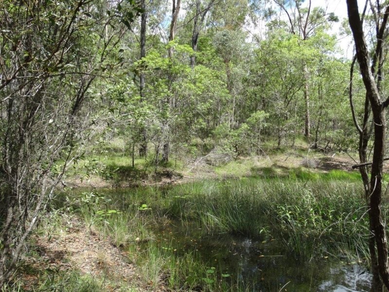 Lot 3 Neils Road, Rosedale QLD 4674