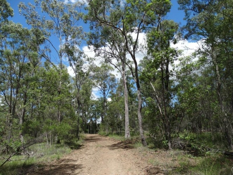 Lot 3 Neils Road, Rosedale QLD 4674