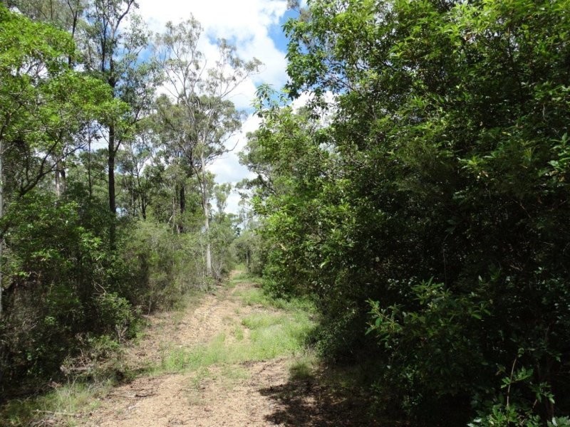 Lot 3 Neils Road, Rosedale QLD 4674