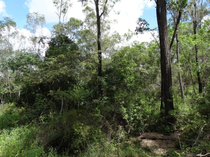 Lot 3 Neils Road, Rosedale QLD 4674