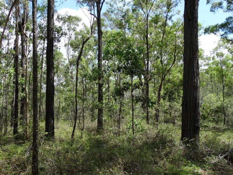Lot 3 Neils Road, Rosedale QLD 4674