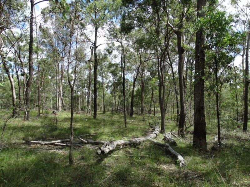 Lot 3 Neils Road, Rosedale QLD 4674