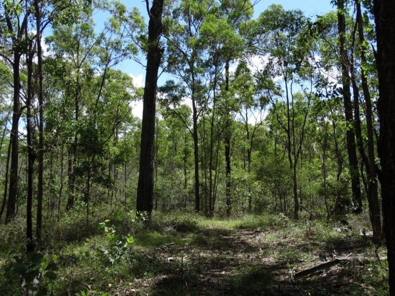 Lot 3 Neils Road, Rosedale QLD 4674