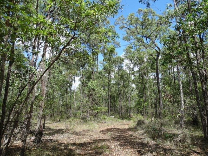 Lot 3 Neils Road, Rosedale QLD 4674