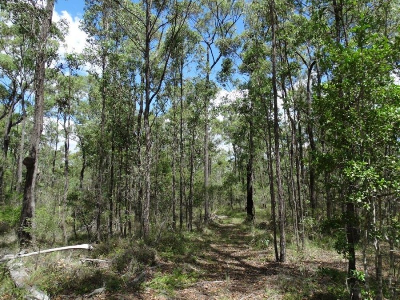 Lot 3 Neils Road, Rosedale QLD 4674